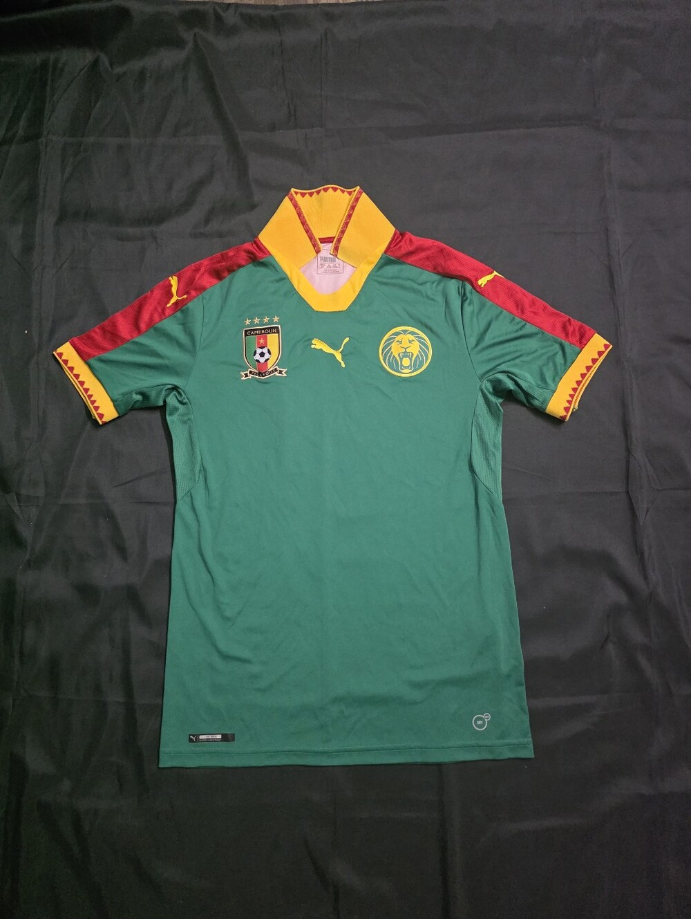 Puma 2016-17 Cameroon Home Jersey